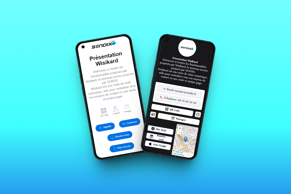 Two smartphones displaying a customised Wisikard