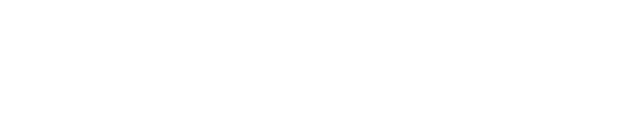 SENDIX